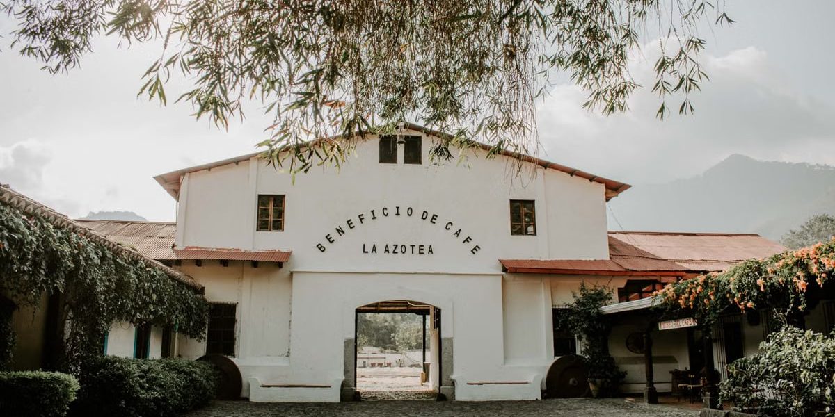 Charming historic building of Beneficio de Cafe La Azotea surrounded by lush greenery and cobblestones.